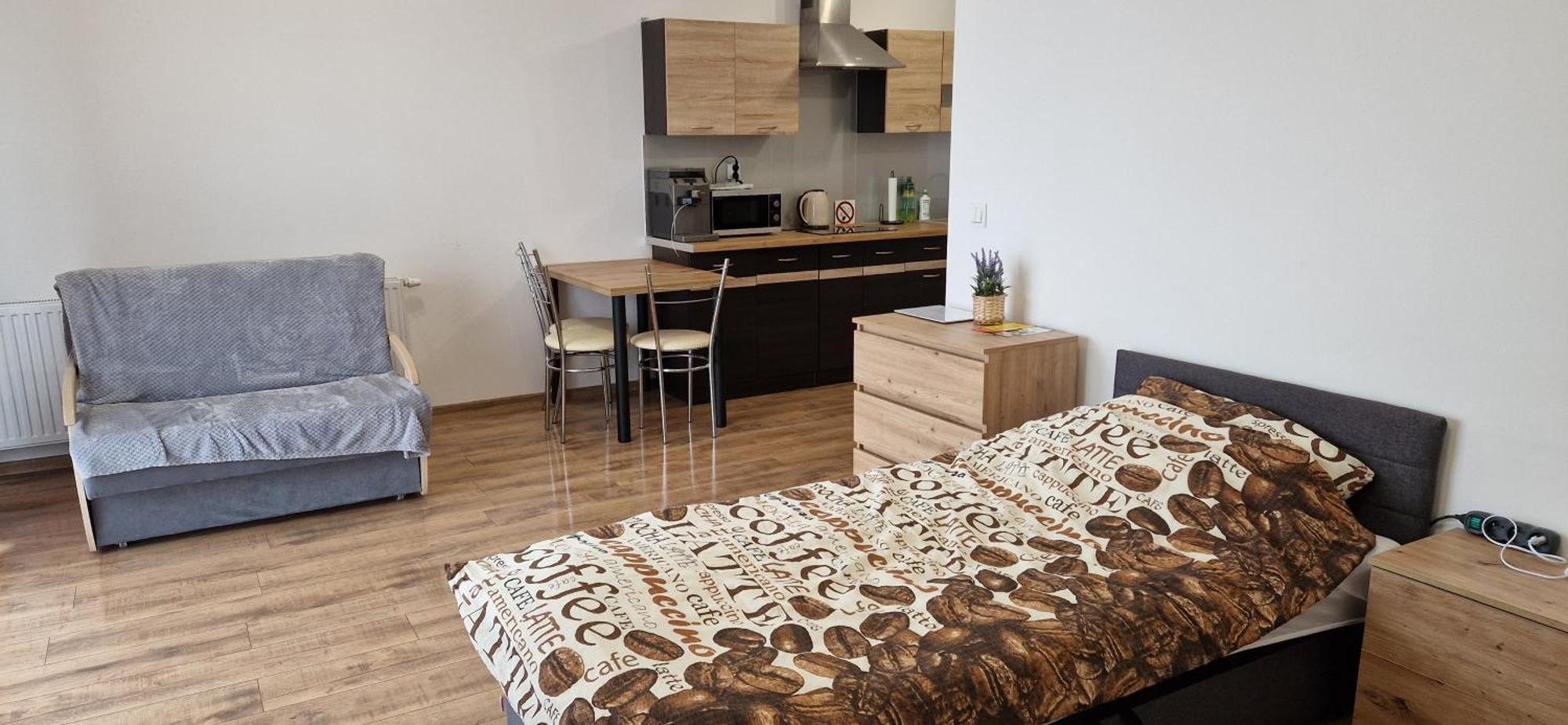 Apartament Sloneczny コストシン・ナド・オドロン エクステリア 写真